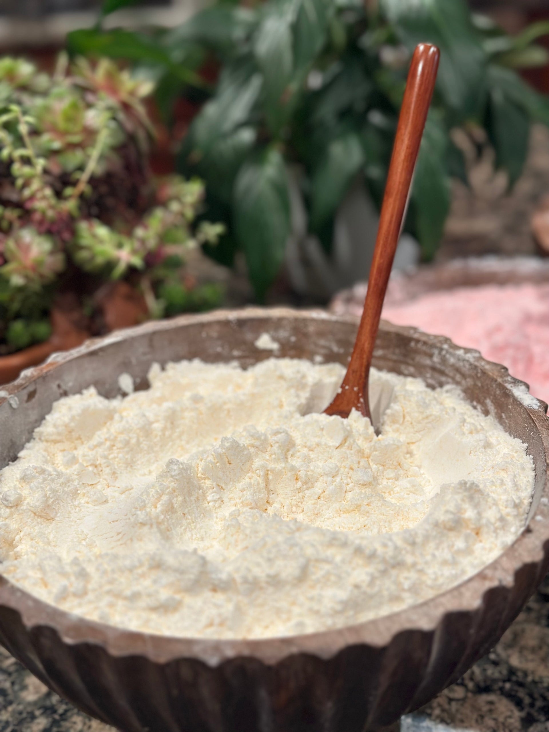 حجر الشب مع العنبر