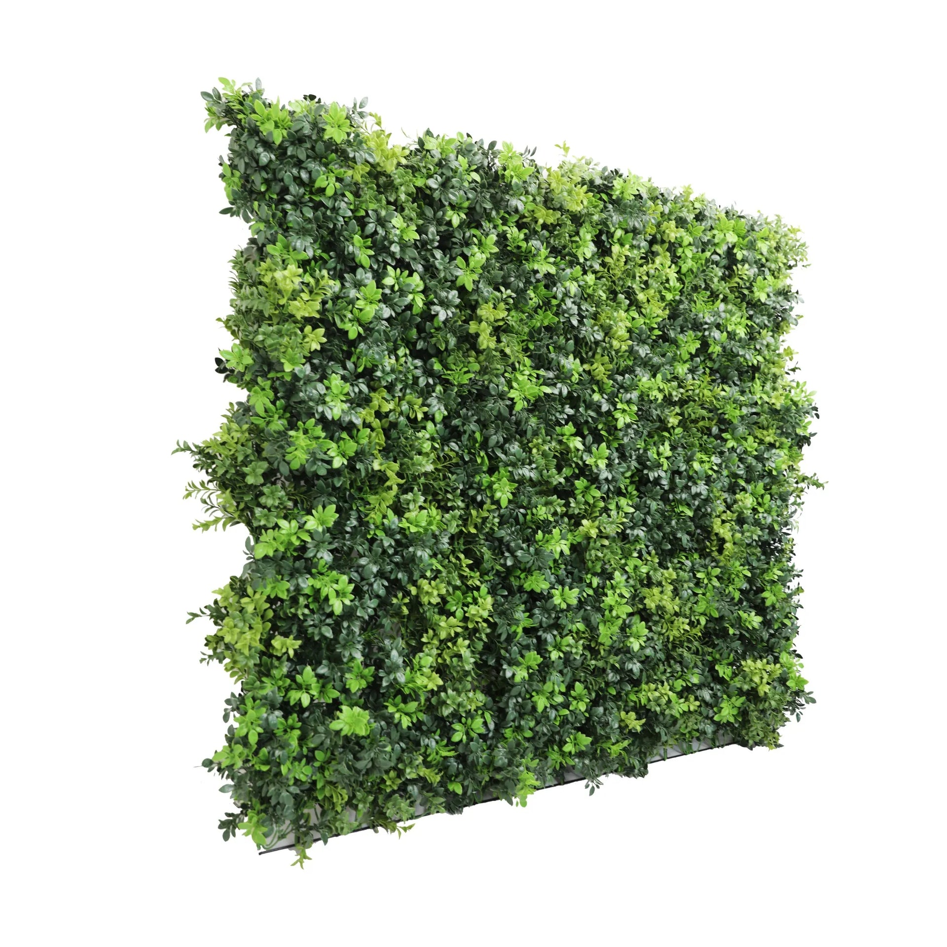 Dark Green Dense Boxwood Artificial Vertical Garden Green Wall Panel 40×40in 11 SQ FT – NFPA701 Fire Rated – Metal Backed – UV Resistant – Commercial Grade