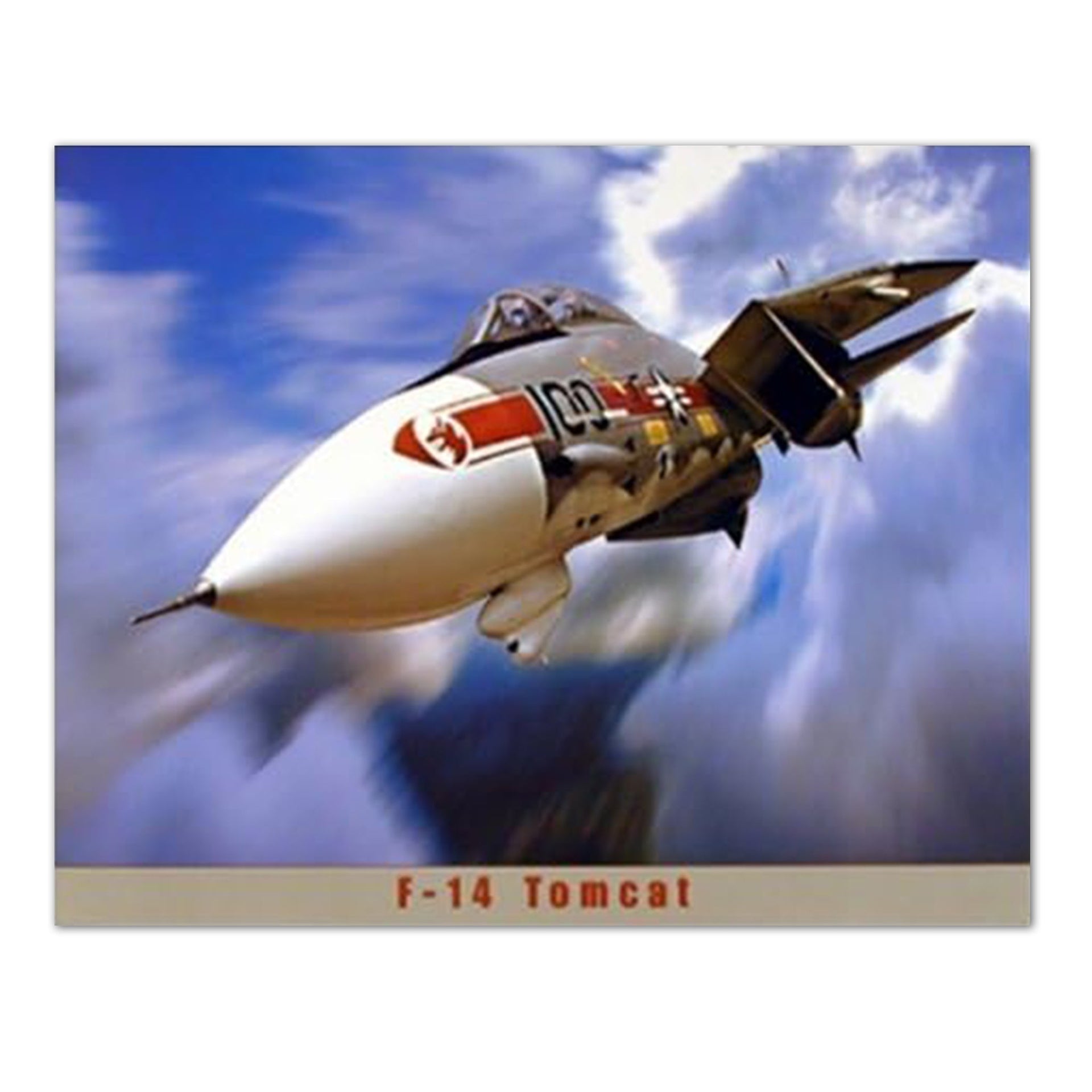 F-14 Tomcat Art Print – 16x20 Jet Airplane Wall Art, Ready to Frame