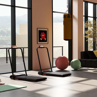 Fitness Room Bundle: Hanging Punching Bag Set + Folding Treadmill