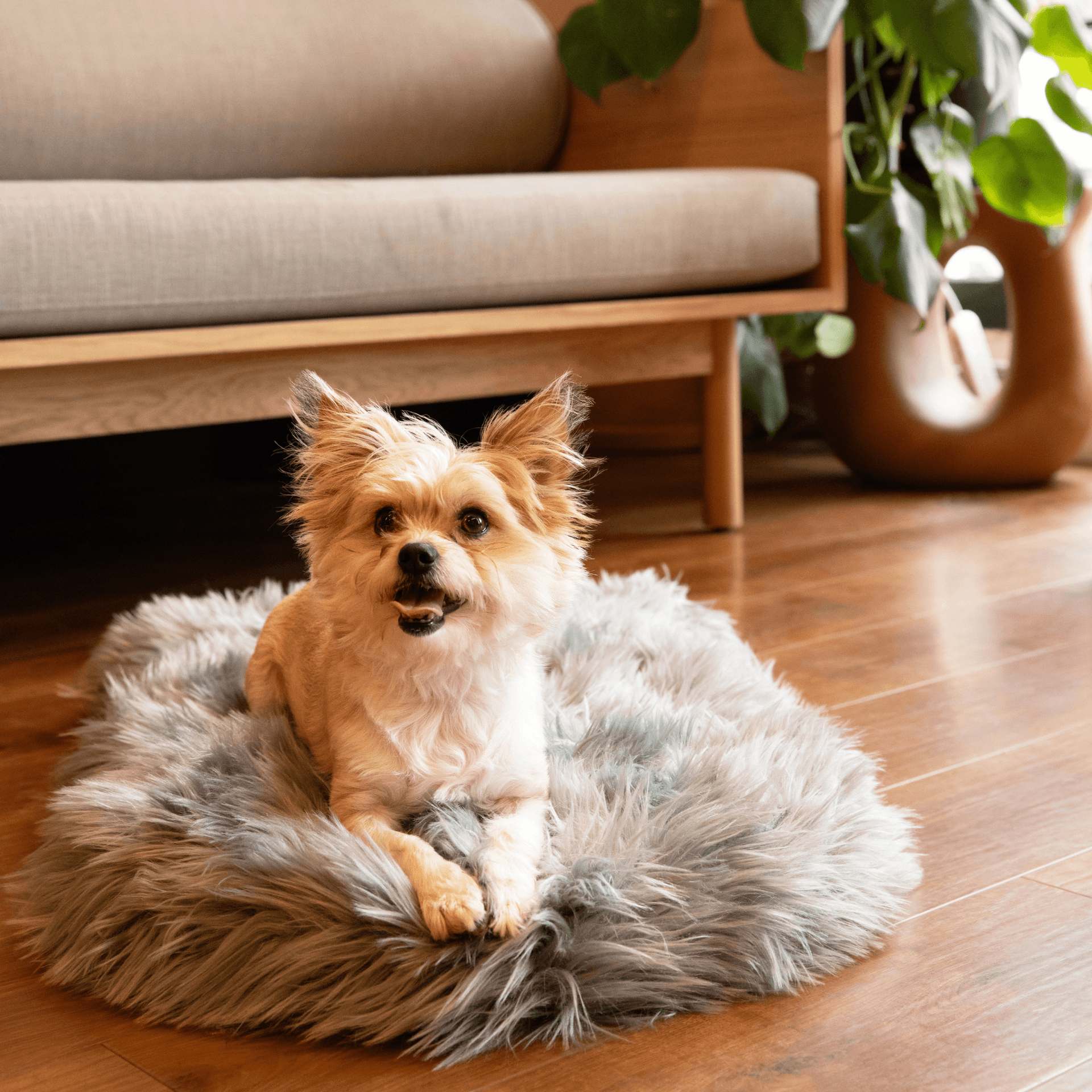 PupRug by Paw.com® Faux Fur Orthopedic Dog Bed - Curve Charcoal Grey