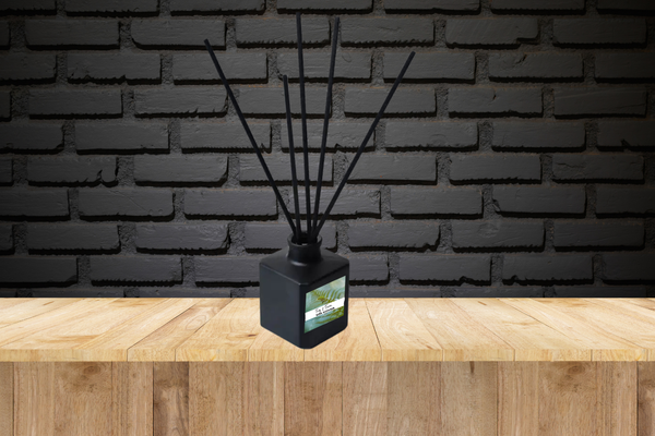 Bold & Masculine Reed Diffuser Collection – Sophisticated Scents with Obsidian, Currant, Wood & Smoke