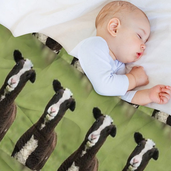 Zwartbles Lamb Anti-pilling Throw Blanket