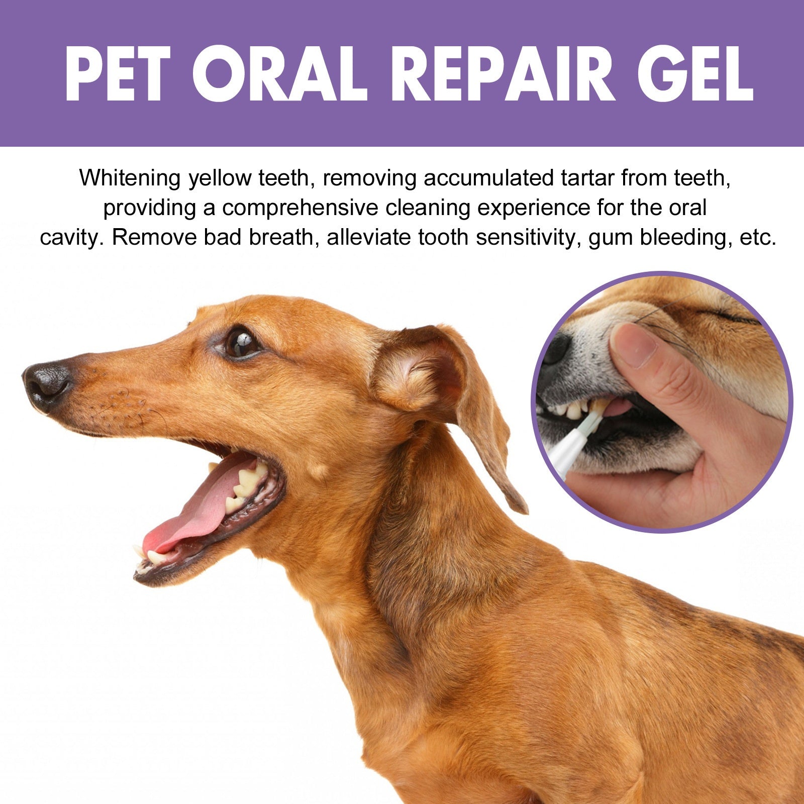 Pet Oral Care Gel for Deep Cleaning of Dog and Cat Teeth Stains and Oral Hygiene