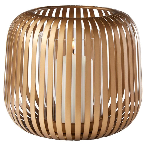 Liny Hurricane | Gold