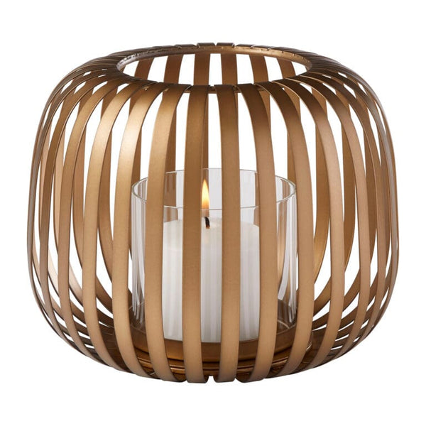 Liny Hurricane | Gold