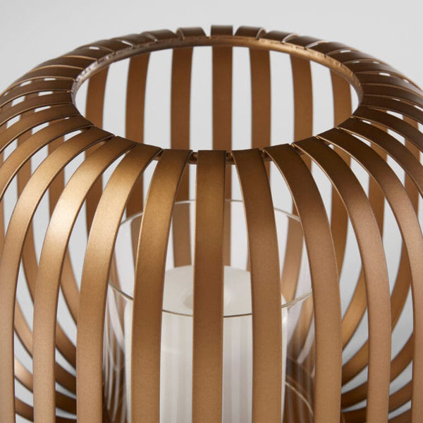 Liny Hurricane | Gold
