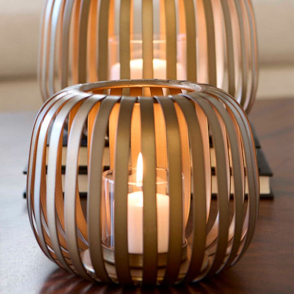 Liny Hurricane | Gold