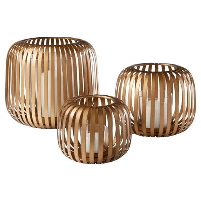 Liny Hurricane | Gold
