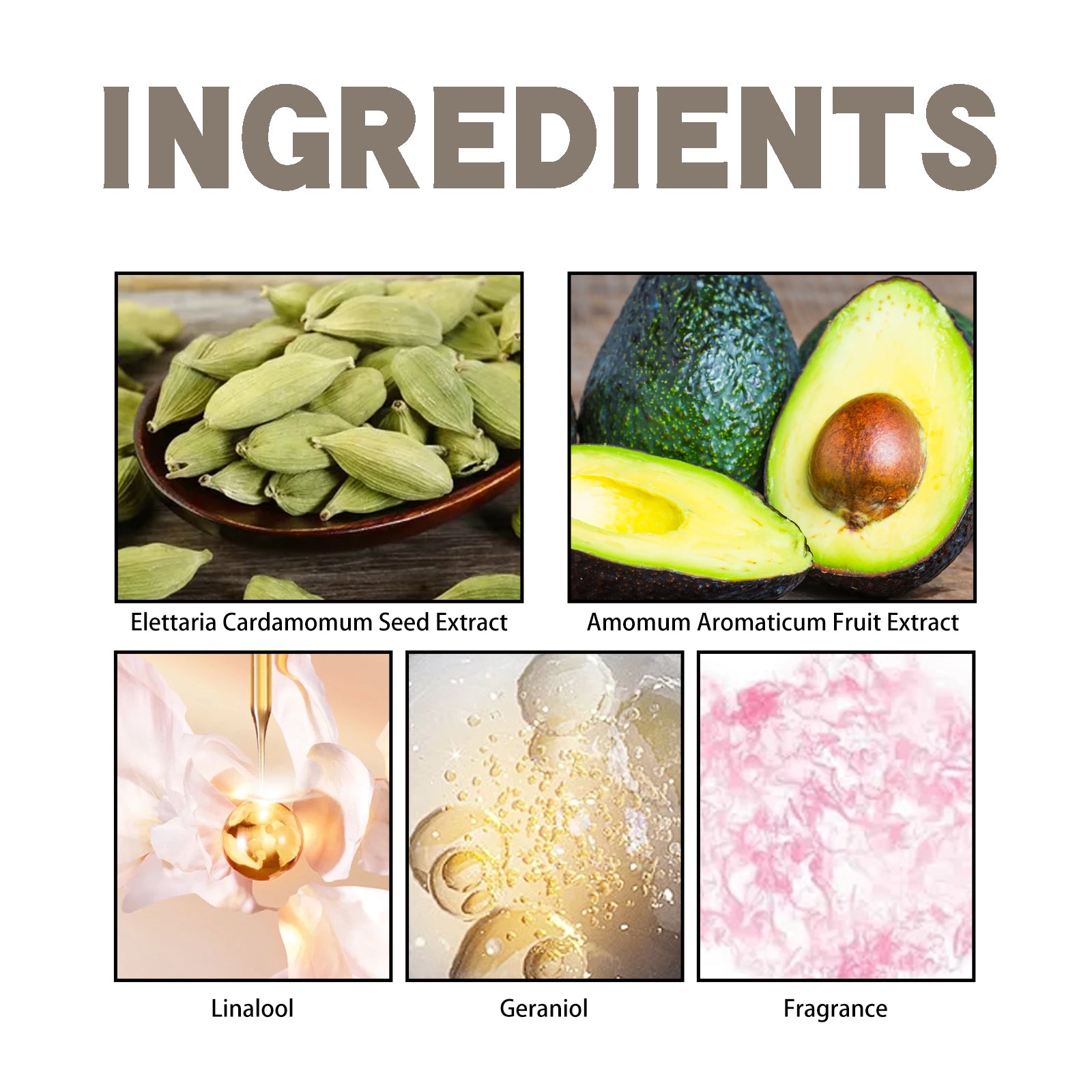 Cardamom Tonka Scent Experience Perfume, Natural Fragrance Light Elegant Lasting Fragrance Mild Portable Date Atmosphere Perfume