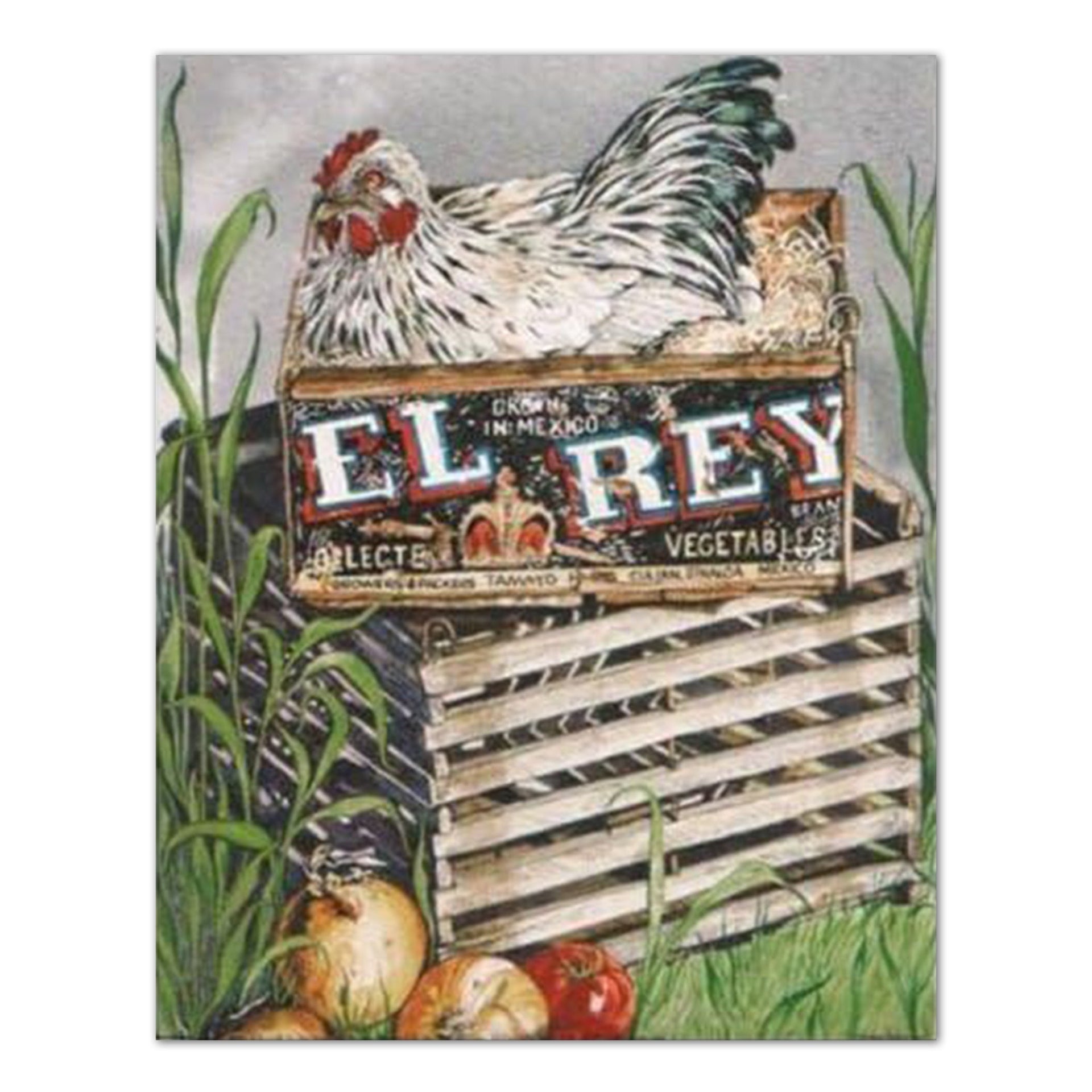 Farm Chicken Wall Art | Vintage Country Painting Wood Box Nest 16x20 Art Print