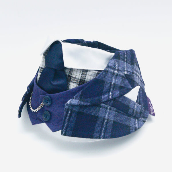 Phillip | Pet Bib Momoji Canada