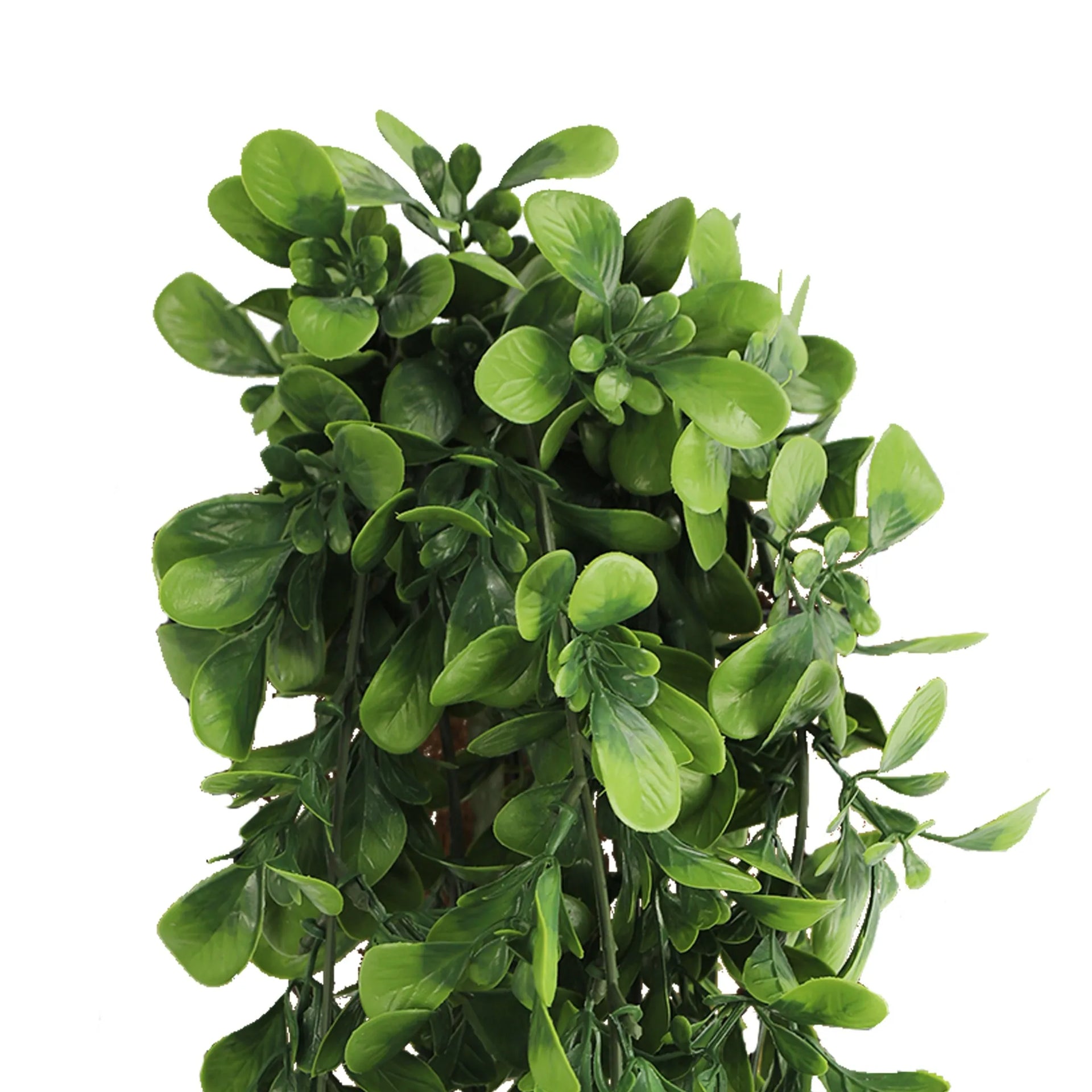 Creeping Fig Garland Artificial Hanging Bush 7.1×30in – NFPA701 Fire Rated – UV Resistant