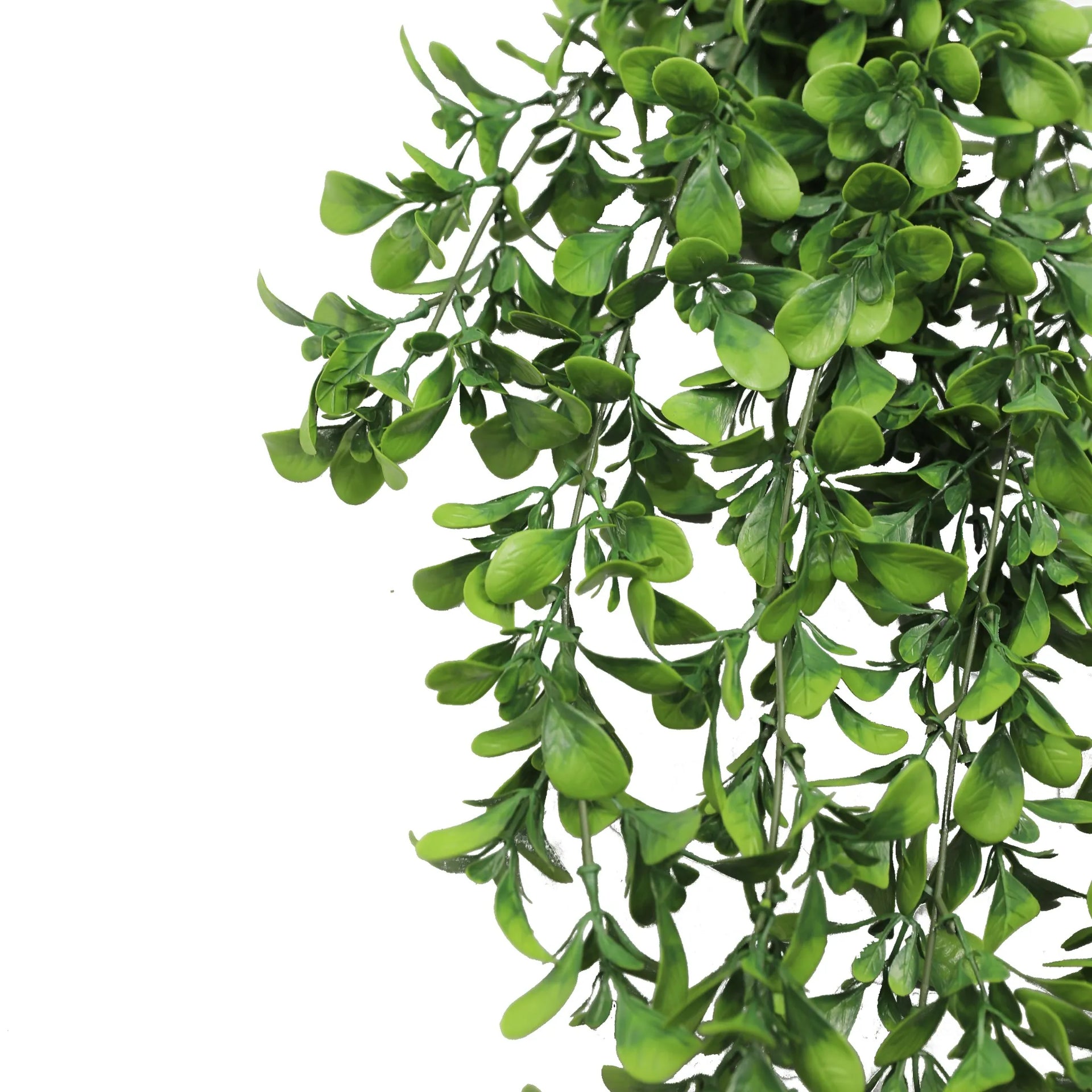 Creeping Fig Garland Artificial Hanging Bush 7.1×30in – NFPA701 Fire Rated – UV Resistant
