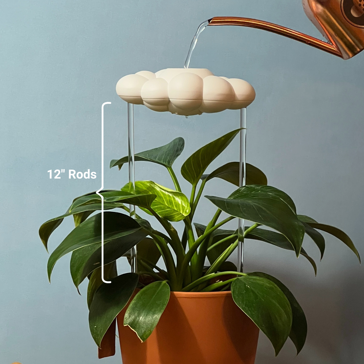 Original Dripping Rain Cloud with Orange Butterfly Charm