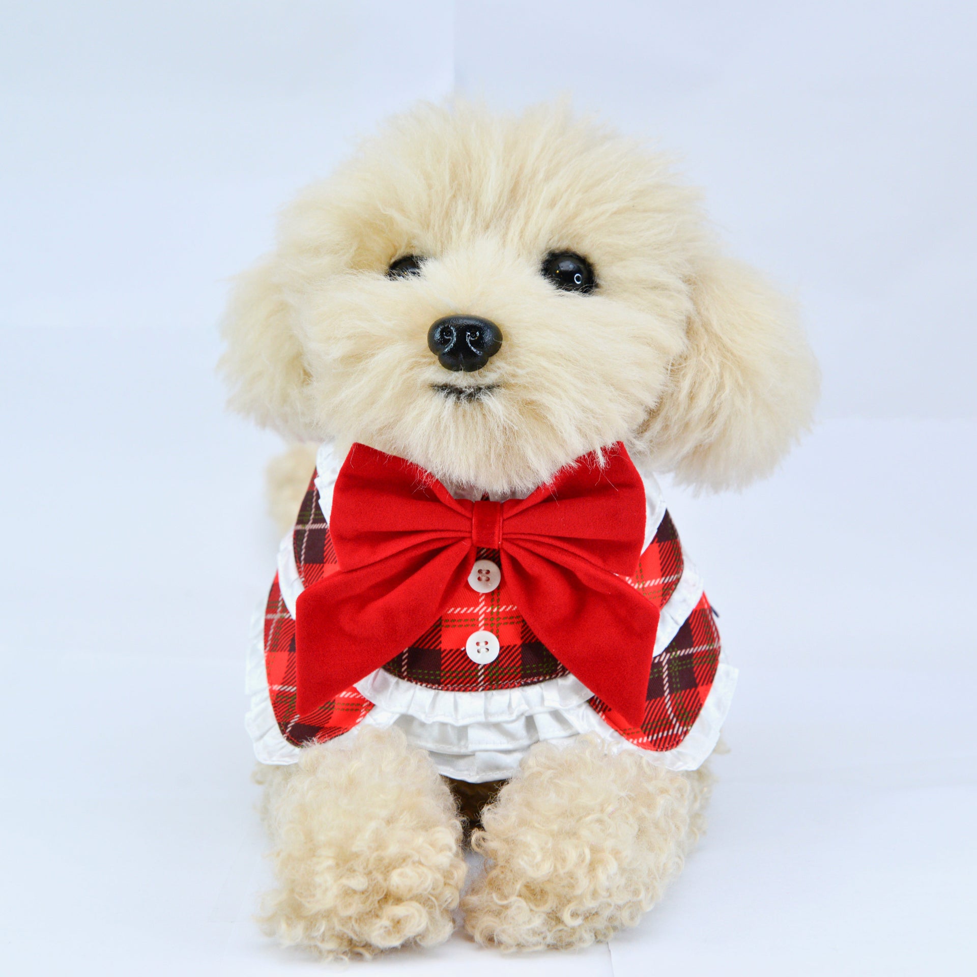 Braemar | Pet Bib Momoji Canada