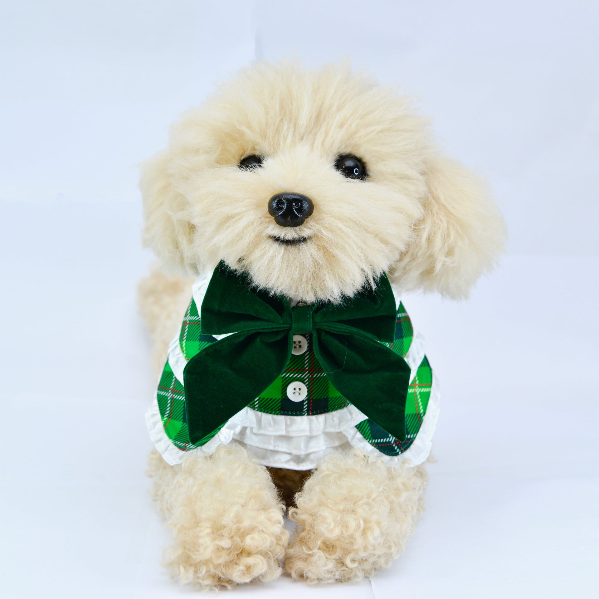 Braemar | Pet Bib Momoji Canada