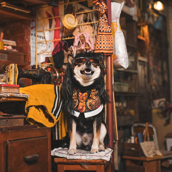 King (王九) | Pet Bib Momoji Canada