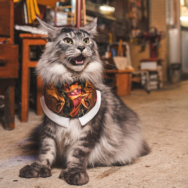 King (王九) | Pet Bib Momoji Canada