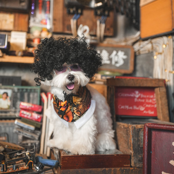 King (王九) | Pet Bib Momoji Canada