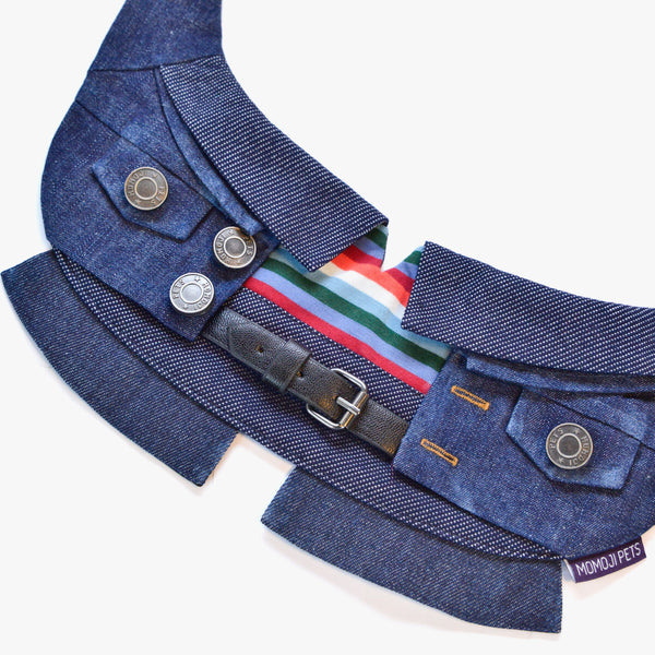 Lok-kwan (洛軍) | Pet Bib Momoji Canada