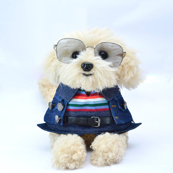 Lok-kwan (洛軍) | Pet Bib Momoji Canada