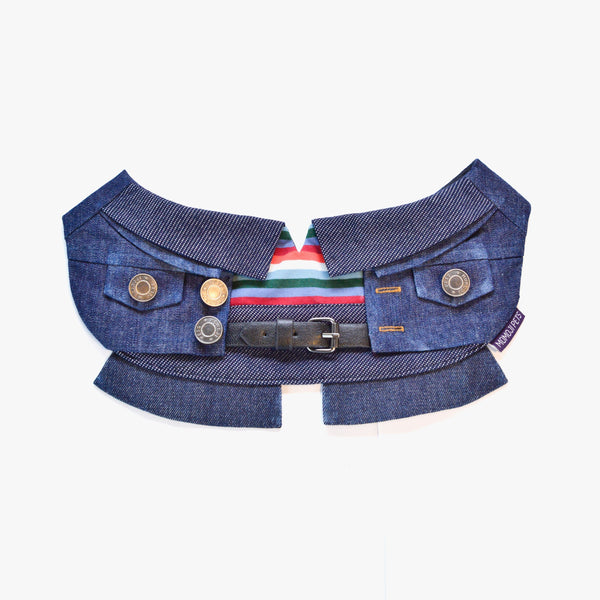 Lok-kwan (洛軍) | Pet Bib Momoji Canada