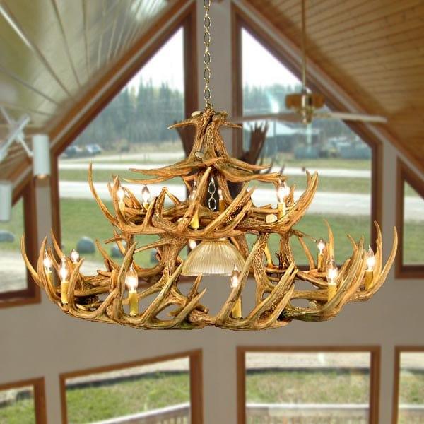 Whitetail 30 Antler Chandelier