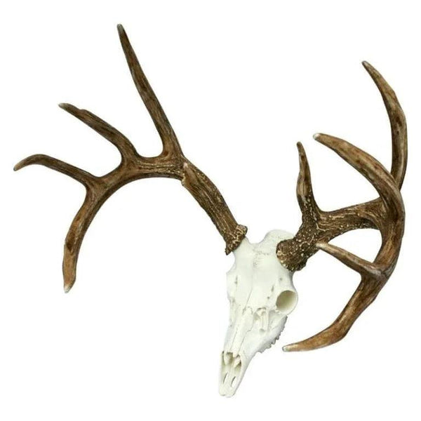 European Whitetail Deer Mount - Gifts for You 'n Me