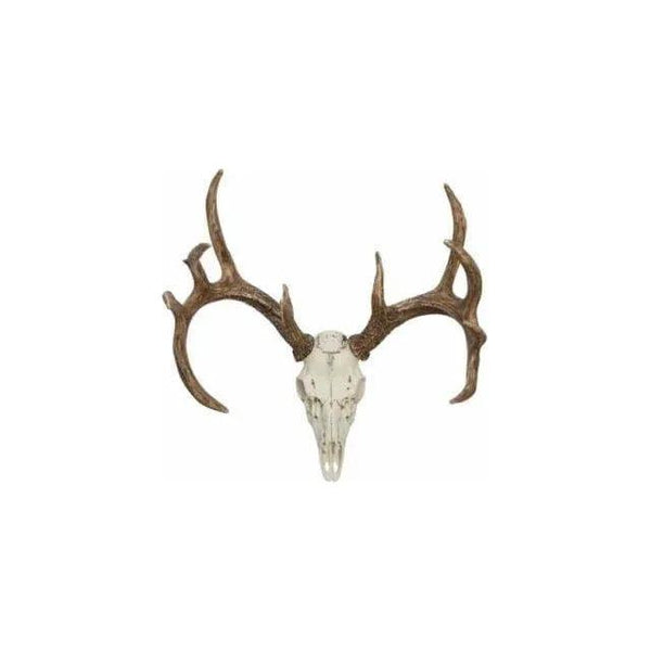 European Whitetail Deer Mount - Gifts for You 'n Me