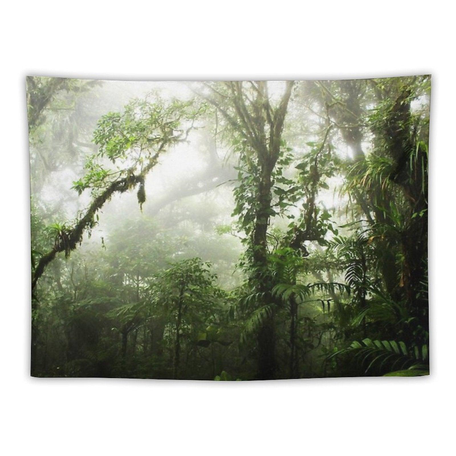 Cloud Forest Tapestry