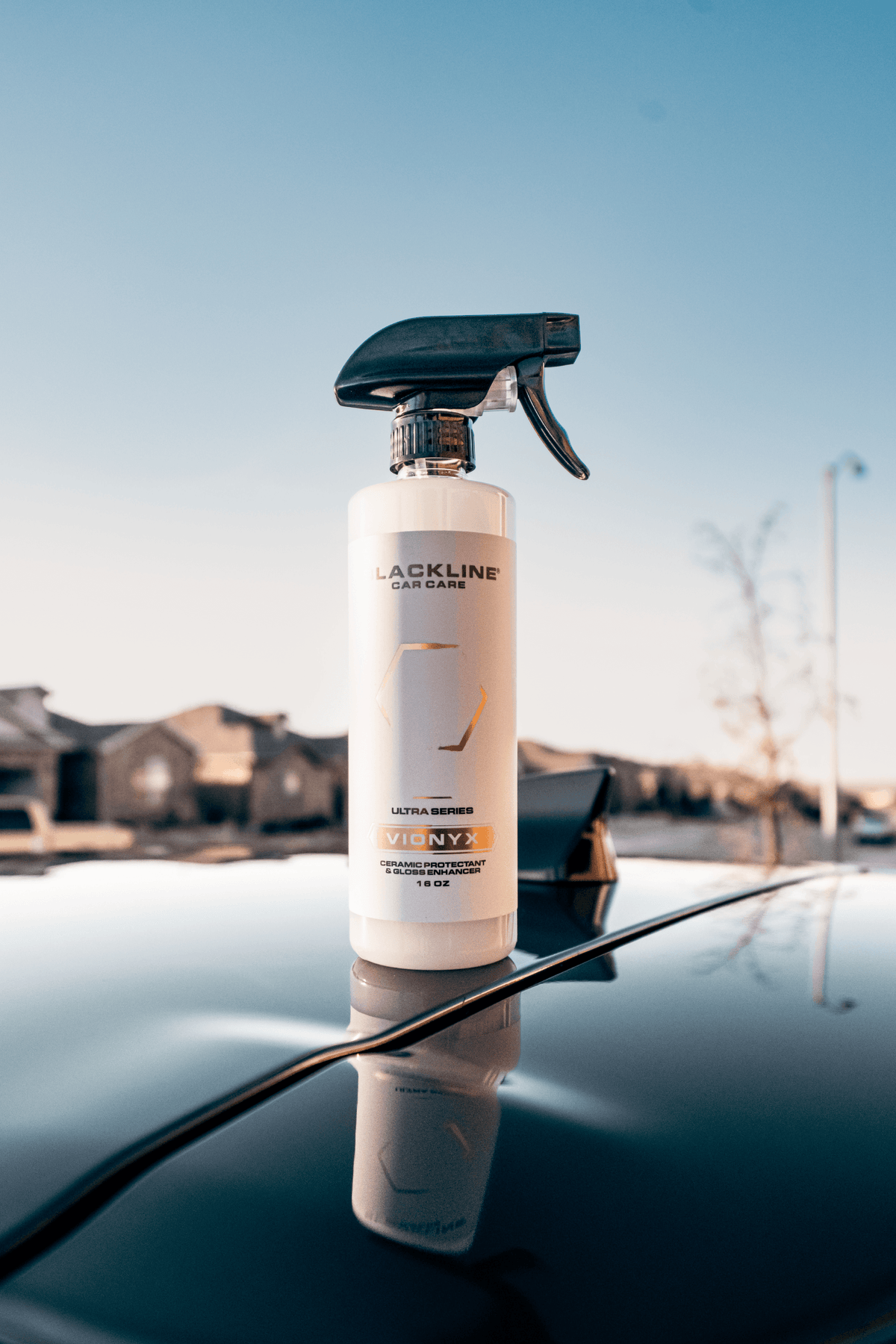 BLACKLINE® VIONYX CERAMIC PROTECTANT