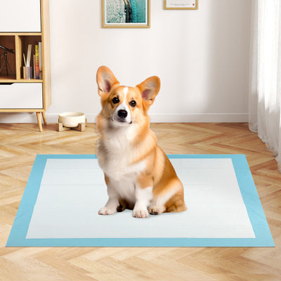 150  Pieces 24 x 36 Inch Pet Wee Pee Piddle Pad-S