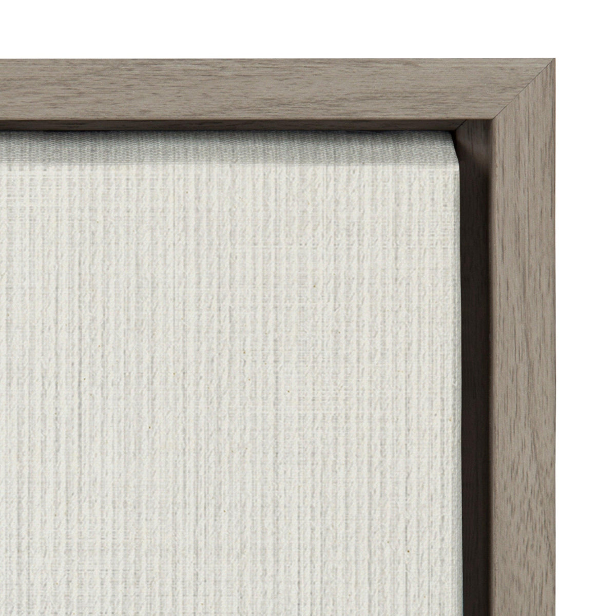Sylvie Eucalyptus Botanical II Framed Canvas by The Creative Bunch Studio