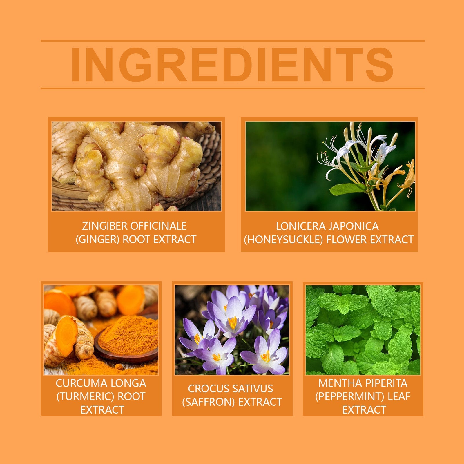 Leg Care Patch To Relieve Leg Discomfort, Blue Veins And Bumps Mild Formula To Protect Leg Vitality