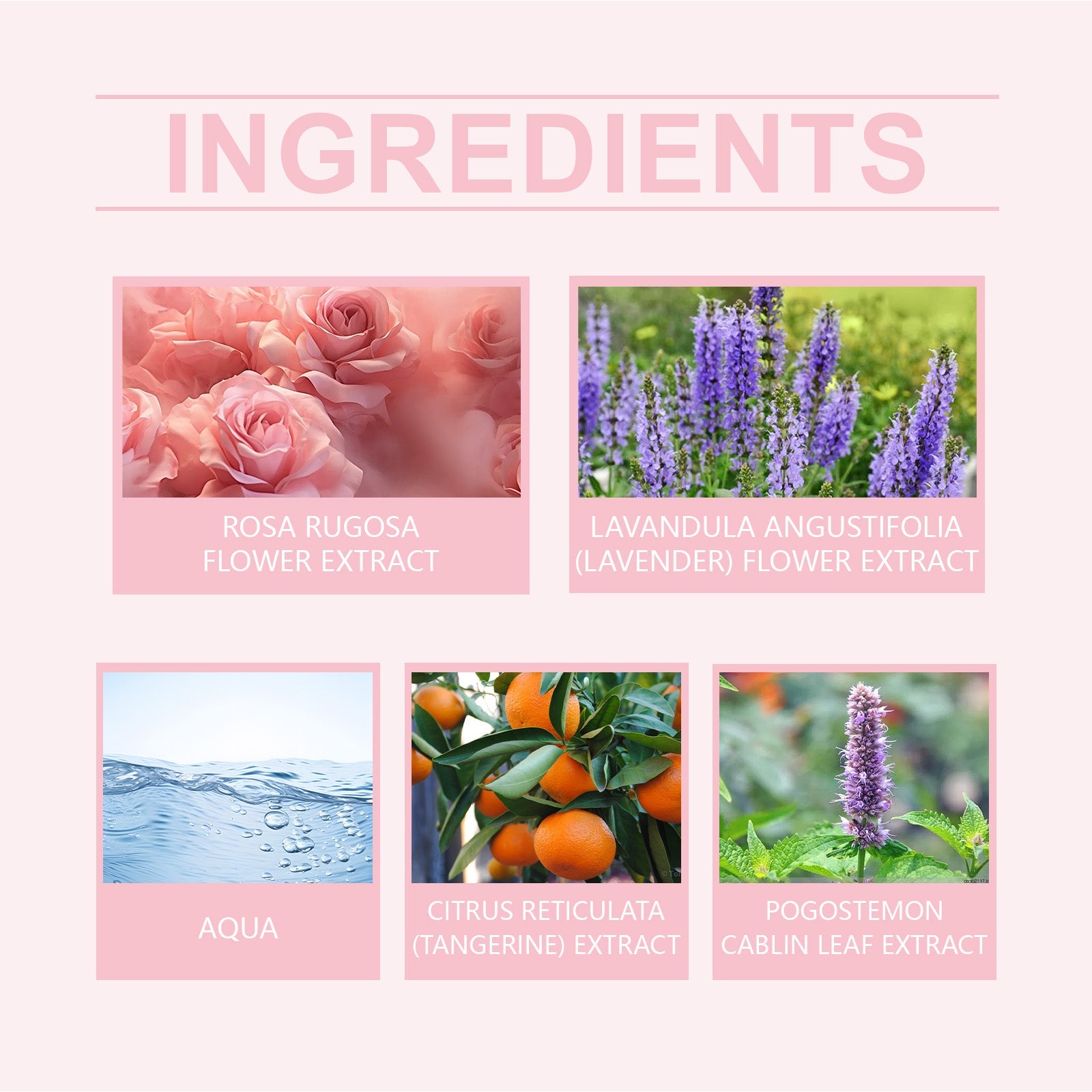 Pink Rose Fragrance Essential Oil, Mild Natural Fresh Fragrance Fragrance Portable Women's Eau De Toilette