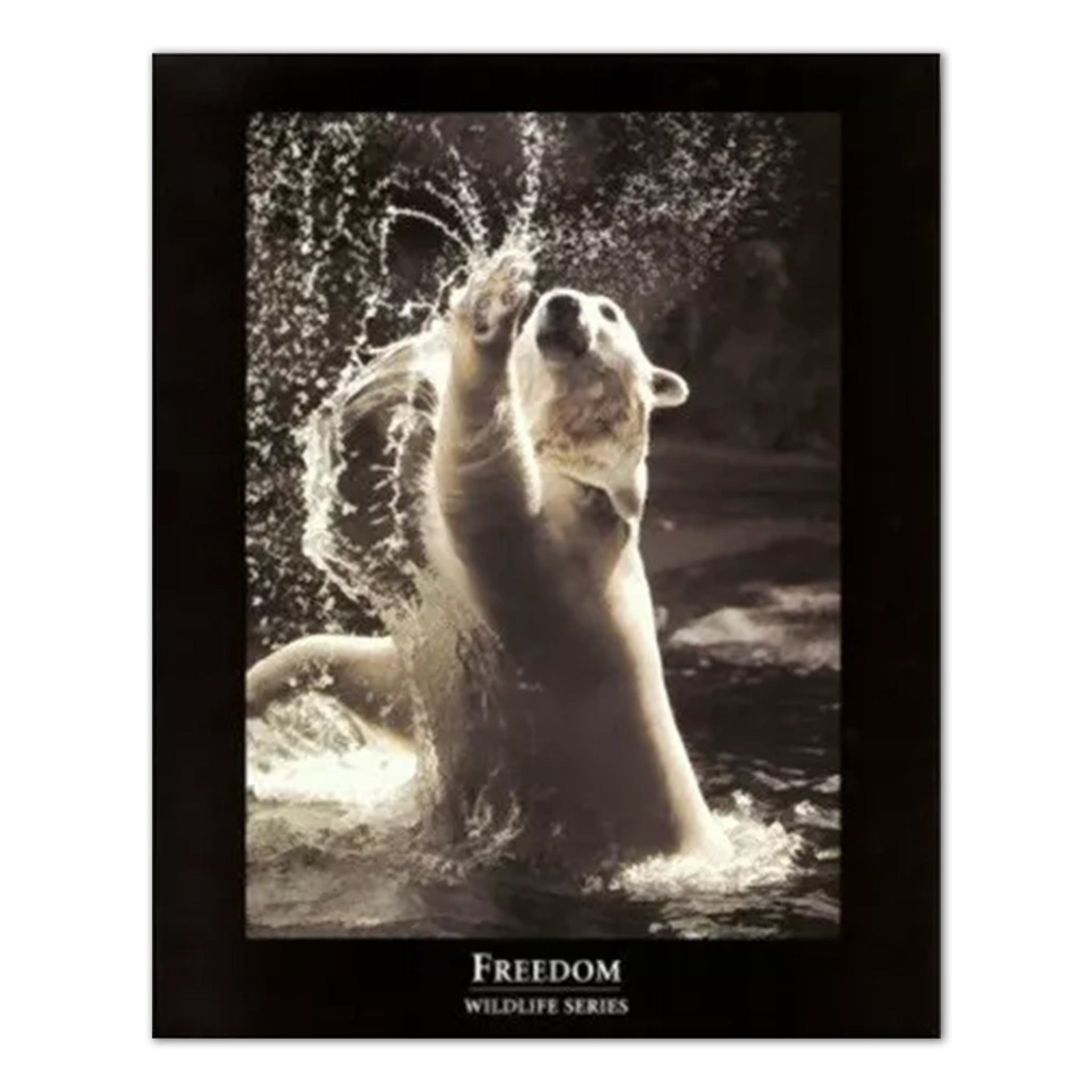 Motivational Bear Art - 16x20 Inch High Quality Lithograph Wall Print