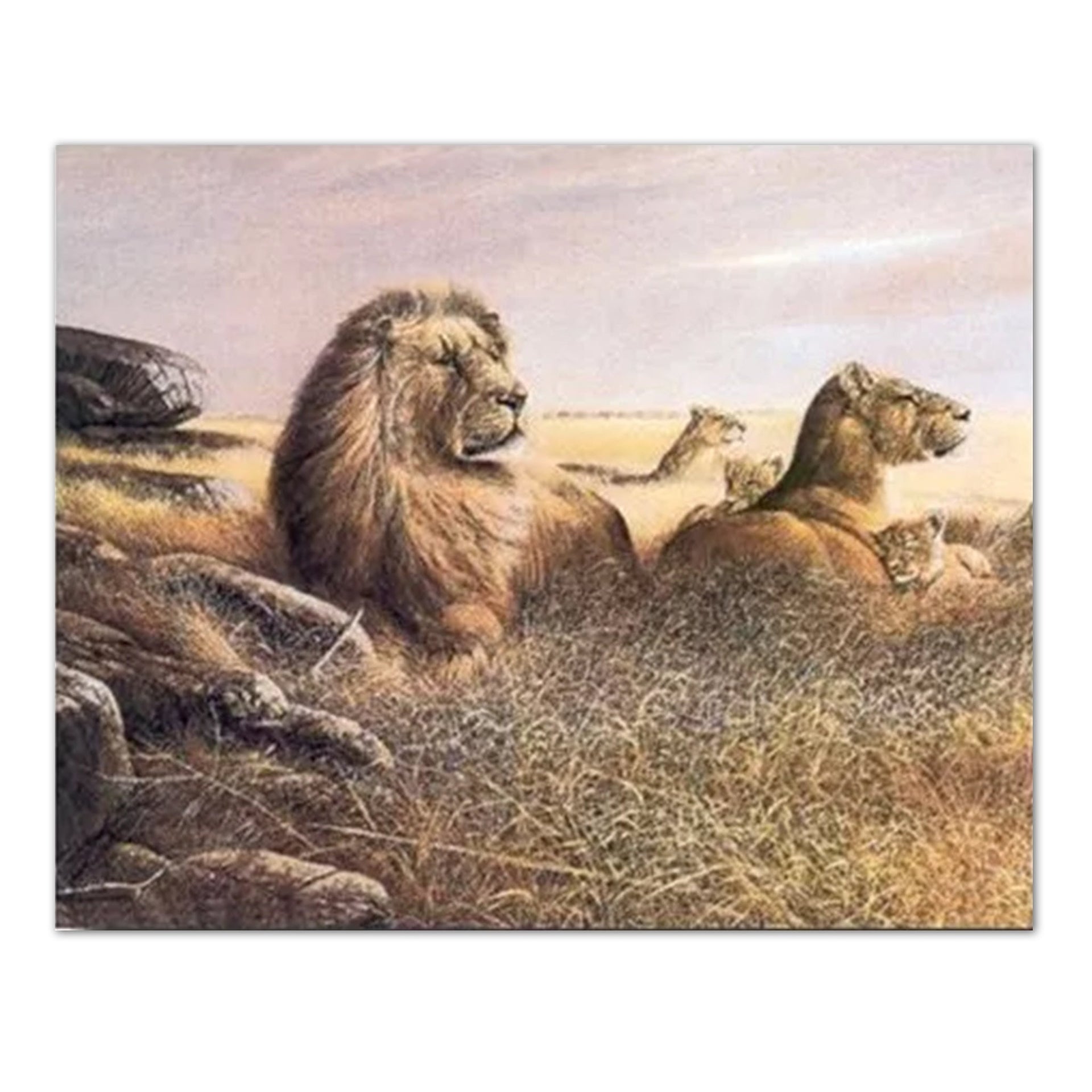 African Lion Wall Art – Savannah Wildlife Decor 16x20 Ready to Frame Print