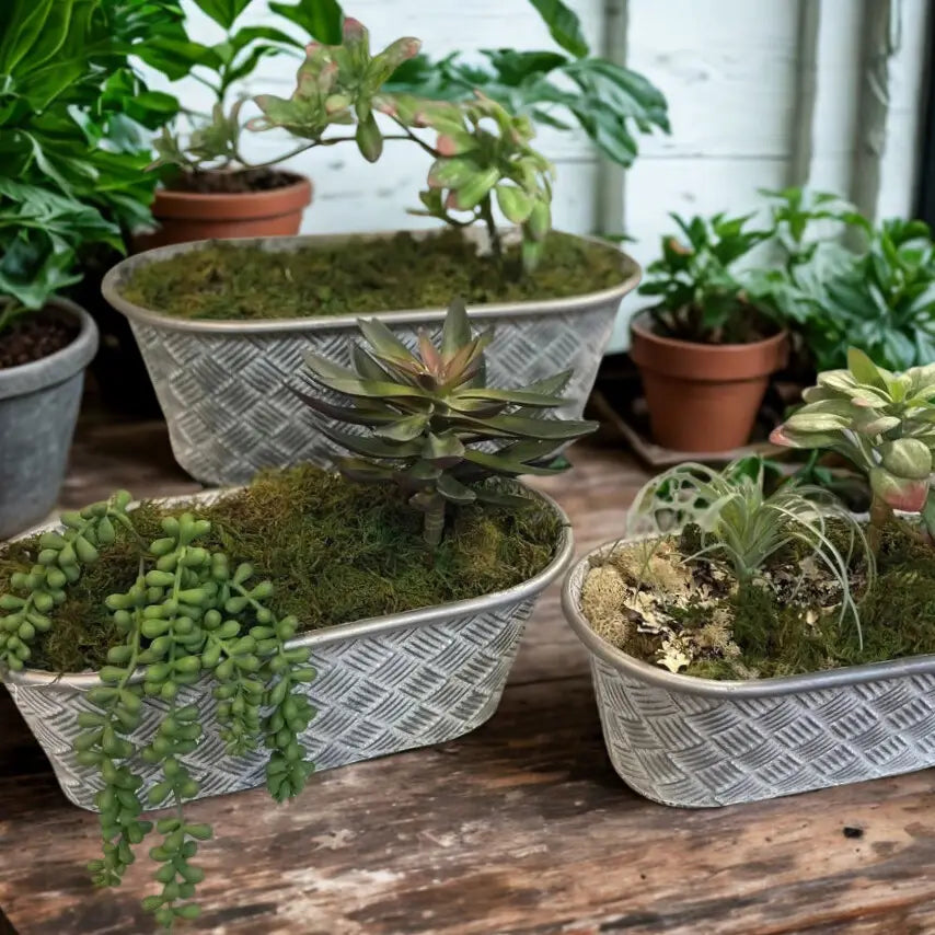 Oval Basketweave Planters