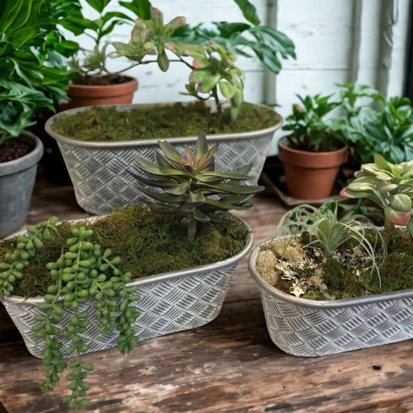Oval Basketweave Planters