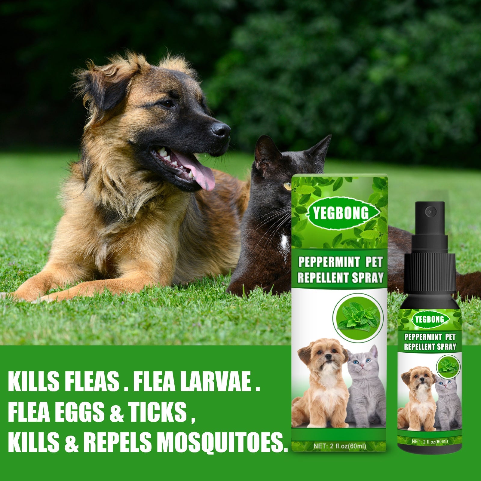 Peppermint Pet Repellent Spray, Dog Mite Spray Pet Mite Fungus Spray For Cats And Dogs