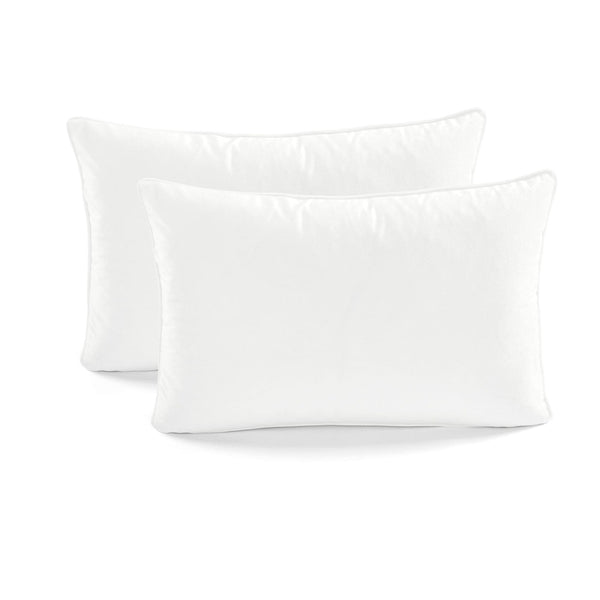 Velvet Solid Decorative Pillow Cover 2-Pack Set