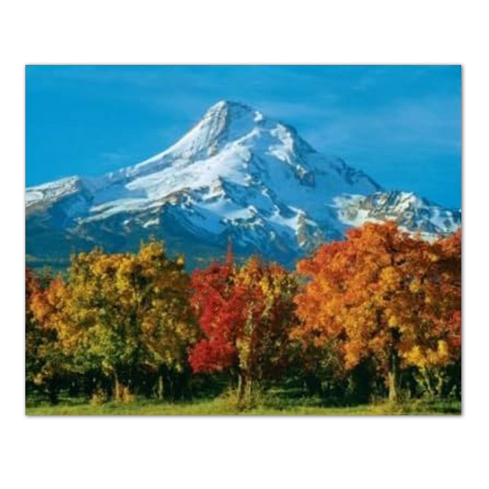 Mount Hood Lake Art Print - 16x20 Wall Art | Scenic Nature Decor, Ready To Frame