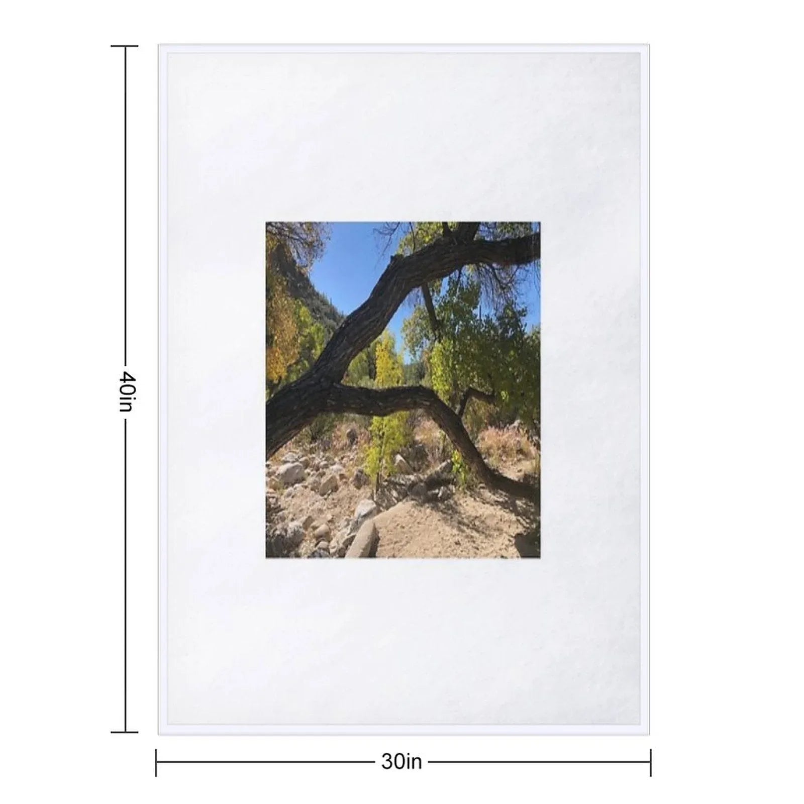 Looking Though A Branch Throw Blanket