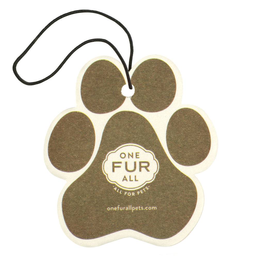 Pumpkin Spice Car Air Freshener