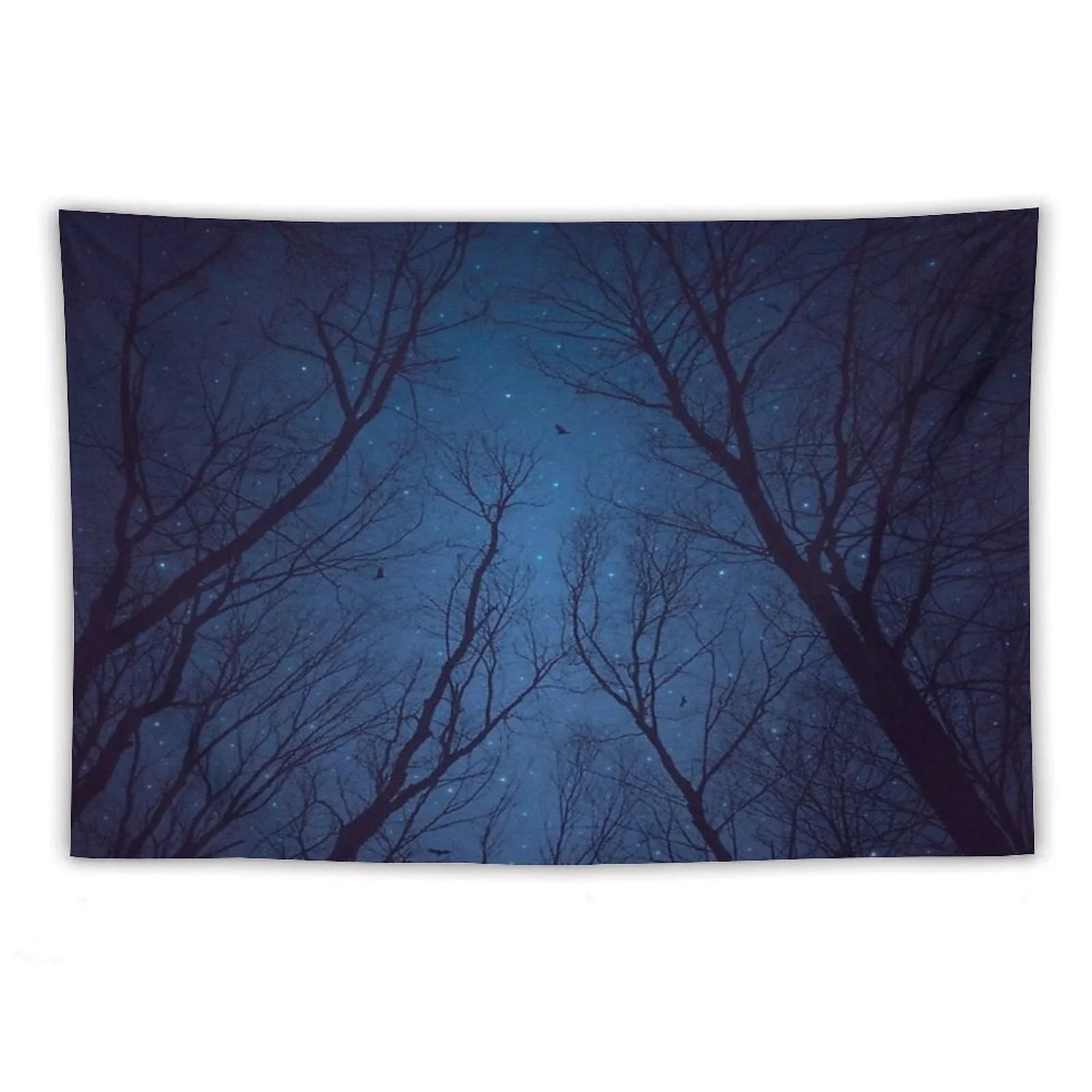 I Have Loved The Stars Too Fondly Tapestry