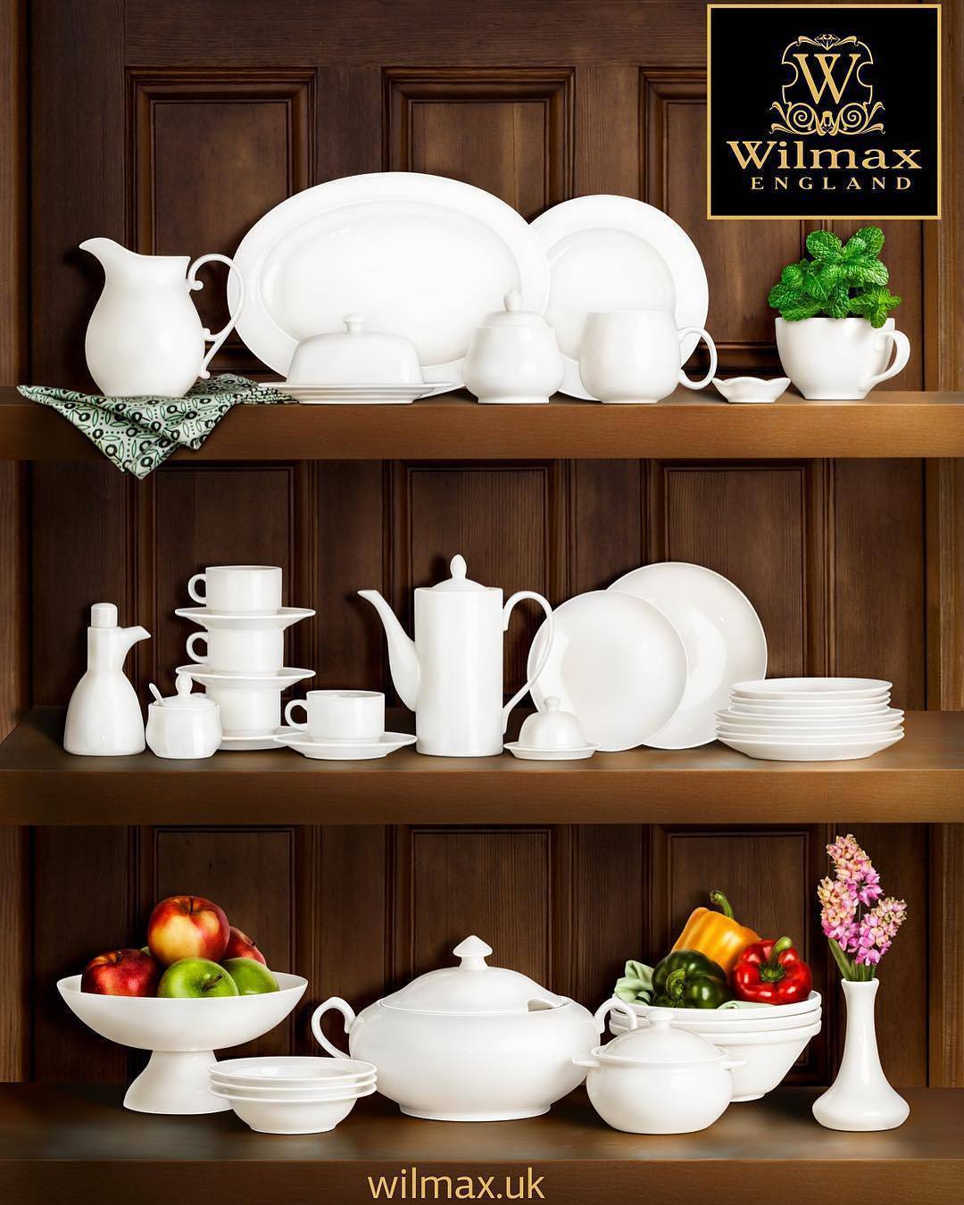 White Dish 4