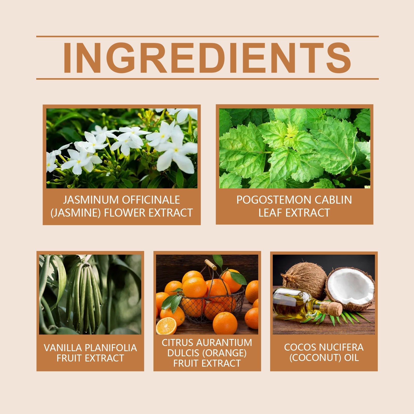 Vanilla Orange Ball Perfume Long Lasting Fragrance Light And Elegant Aromas Dating Charm Elegant Temperament Portable Perfume