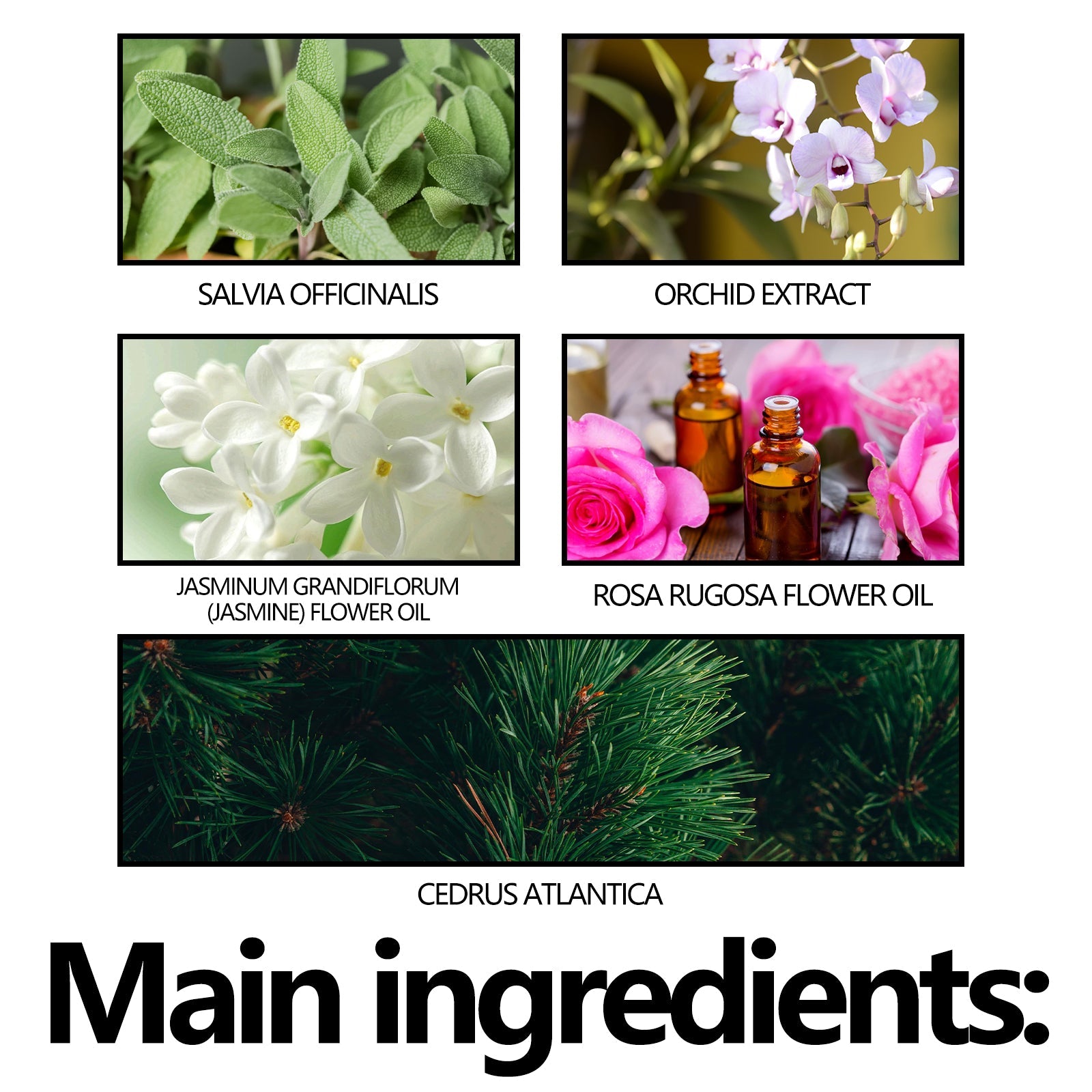 Control Odor Stick, Clean Armpit Odors Fresh And Long-Lasting Portable Body Stick