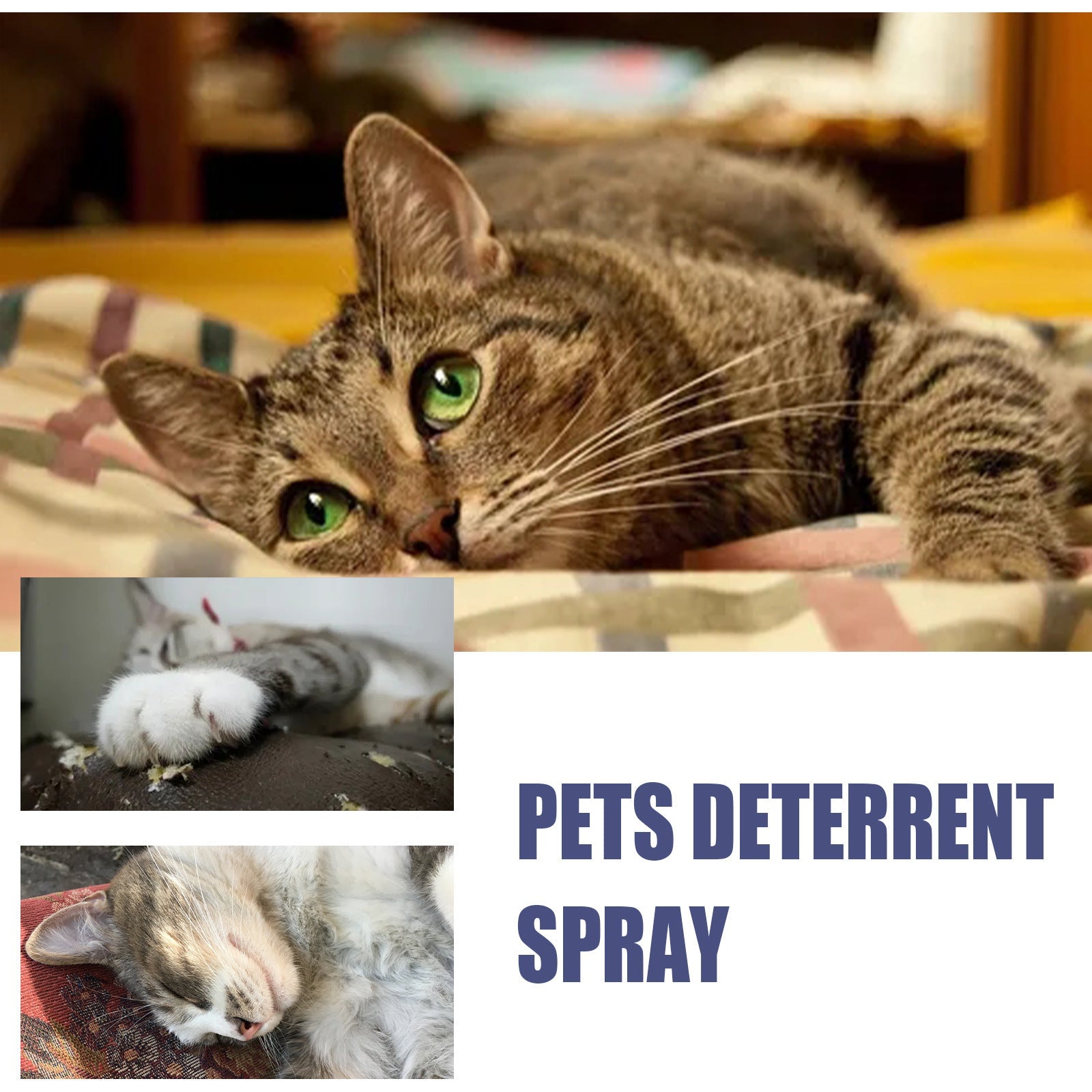 Pet Anti-Scratch Spray Exclusion Zone Set Up Spray Cat And Dog Scratching Door Sofa Anti-Scratch Solution